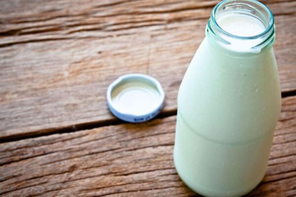 Healthy breakfast ideas for back to school | Local News