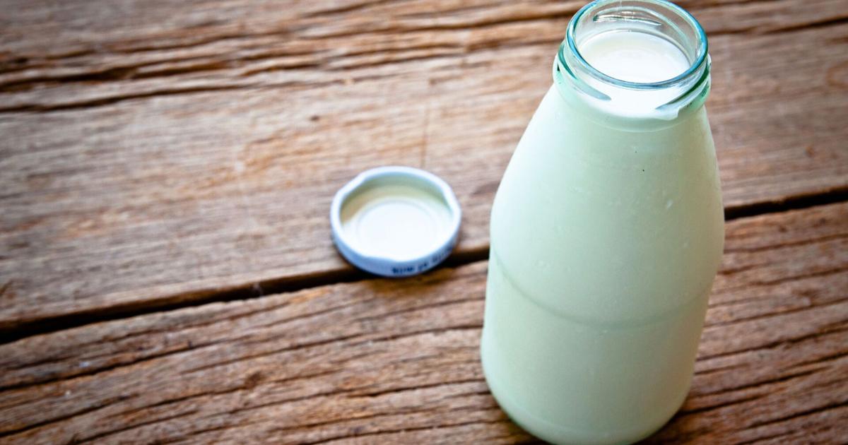 Healthy breakfast ideas for back to school | Local News