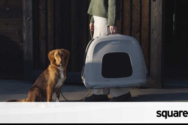 Tavo Pets is calling time on dangerous pet travel