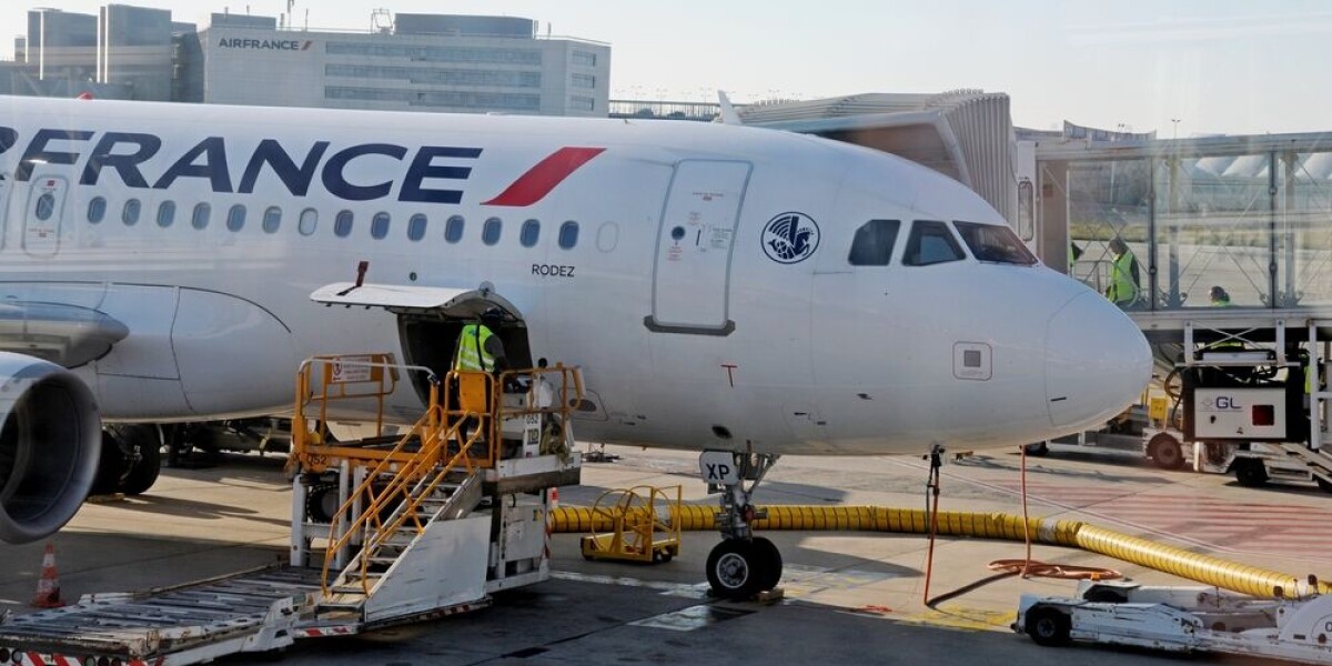 Can You Fly to France with Your Pet in the Cabin? Airline Policies Explained