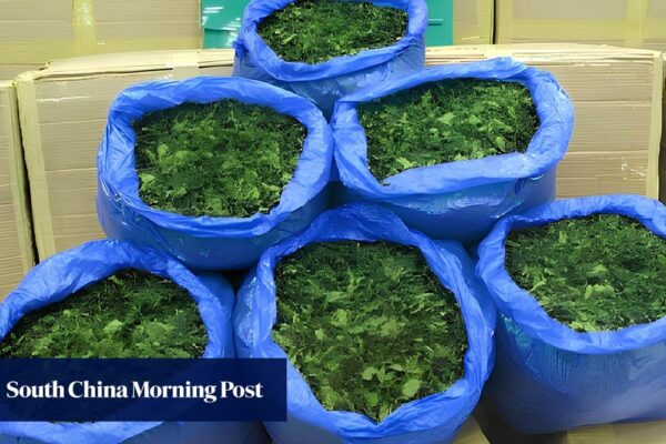 Hong Kong customs sets up armed escort team as drugs pile up in secret warehouse Hong Kong customs sets up armed escort team as drugs pile up in secret warehouse