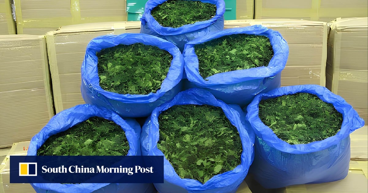 Hong Kong customs sets up armed escort team as drugs pile up in secret warehouse