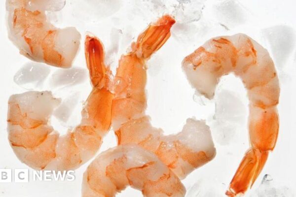 Walmart recalls possibly radioactive shrimp after public warned not to eat
