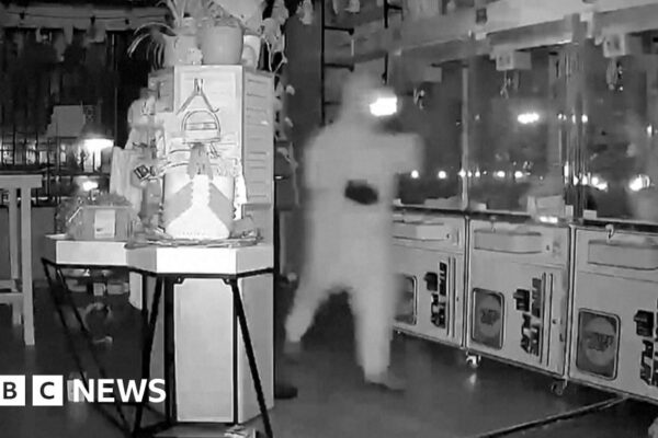 Masked thieves steal $7k of Labubu dolls in California