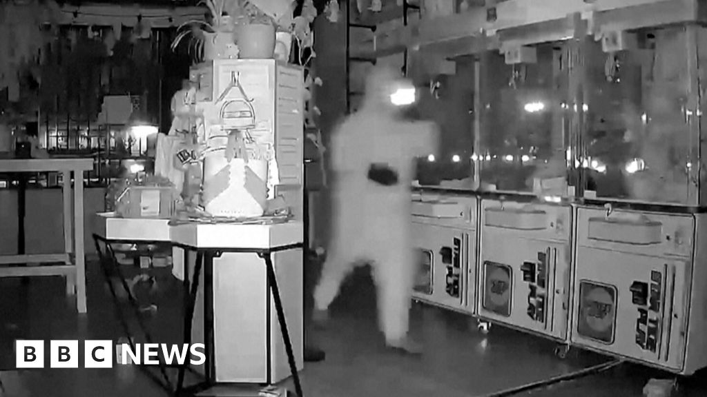 Masked thieves steal $7k of Labubu dolls in California