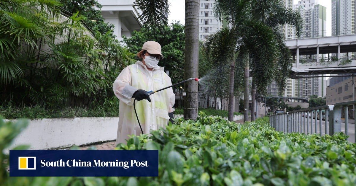 Chikungunya fever: Hong Kong urged to step up mosquito control after rainstorm