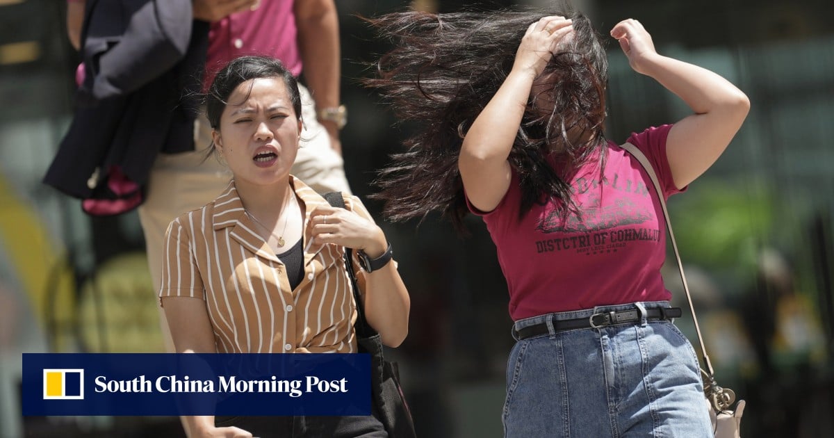 Weather forecaster urges Hongkongers to seek shelter amid violent gusts