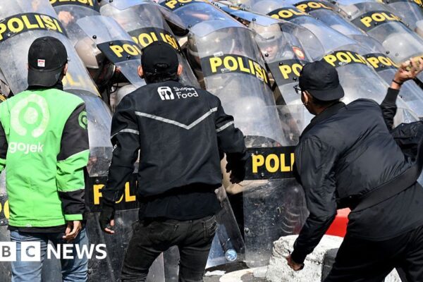 Indonesian politicians to have perks cut in bid to quell unrest