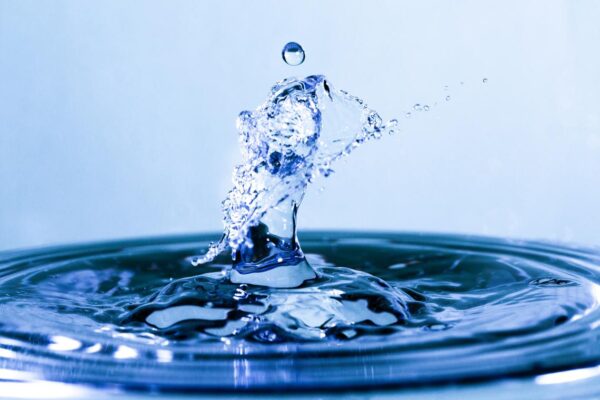 Officers seized around 2,600 bottles of water in a warehouse along with documents and electronic devices.
