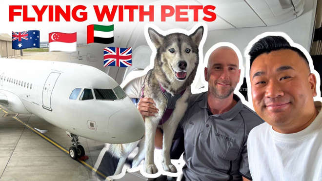 Flying with Pets - A Special Flight From Australia