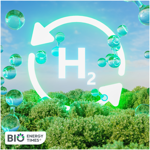 French green hydrogen firms expand abroad, targeting UK and beyond