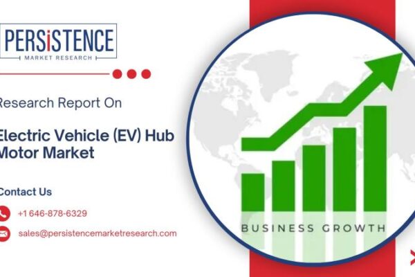 Electric Vehicle (EV) Hub Motor Market