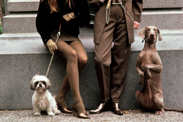 USA. New York City. 1989. Legs of man and woman with their dogs.