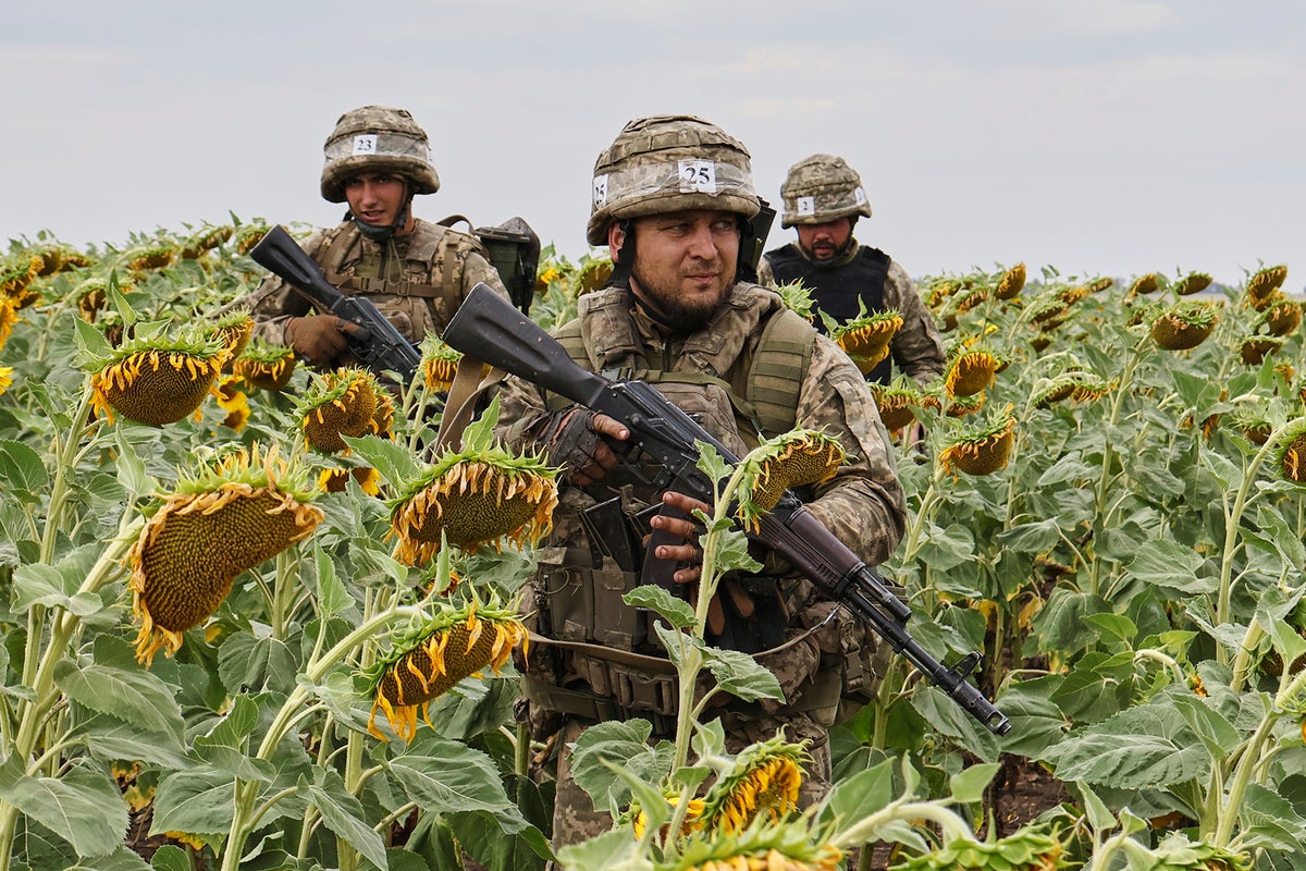 Ukraine Russia war latest: Zelensky warns Putin will launch new war from land ceded under Trump deal