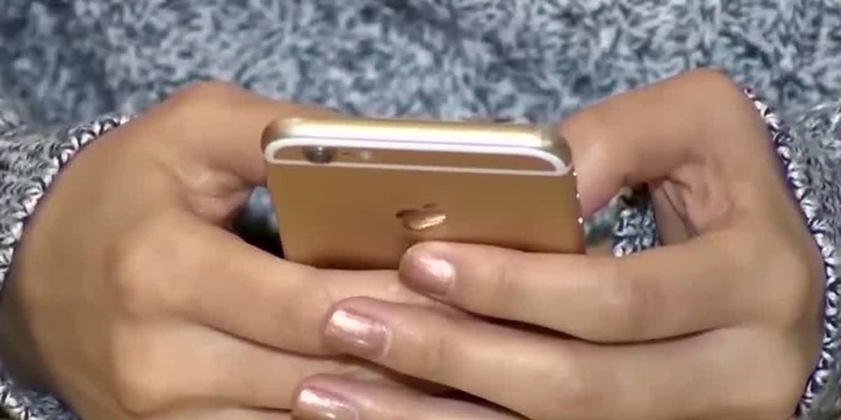 New Florida law bans cell phone use in classrooms