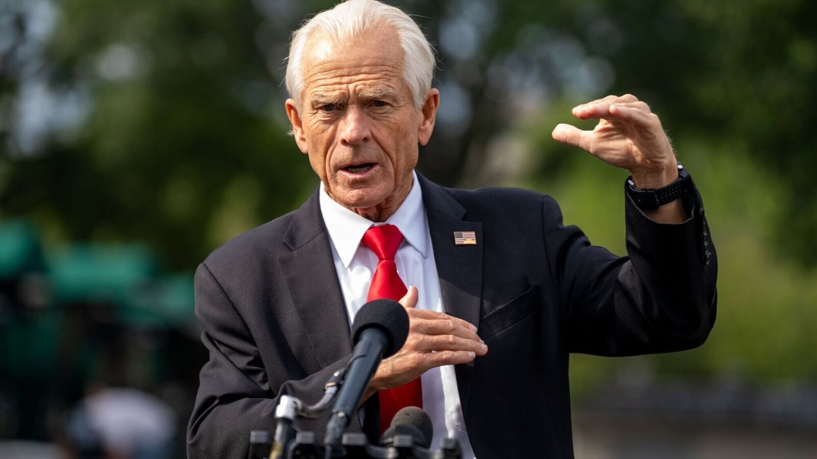 Peter Navarro, White House senior counsellor for trade and manufacturing, speaks to members of the media outside the White House in Washington, D.C., on August 6.