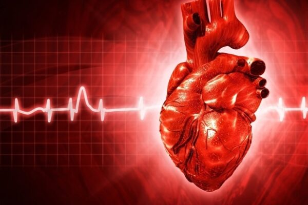 New research highlights combined impact of genes and lifestyle on dilated cardiomyopathy