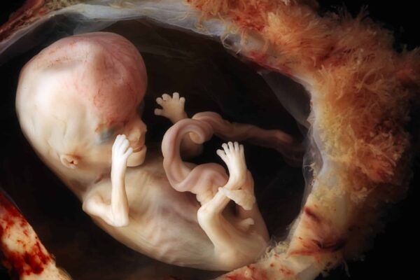 China develops pregnancy robot designed for full human gestation