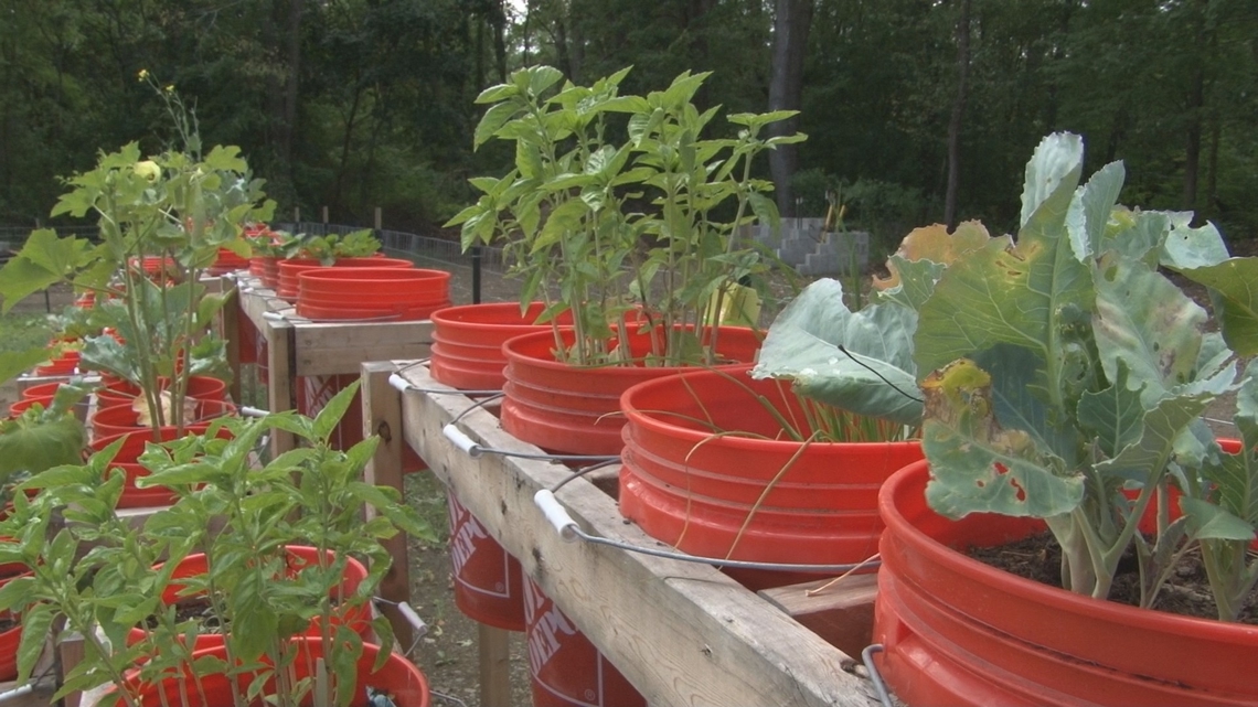 Salamanca schools lead with fresh, healthy meals