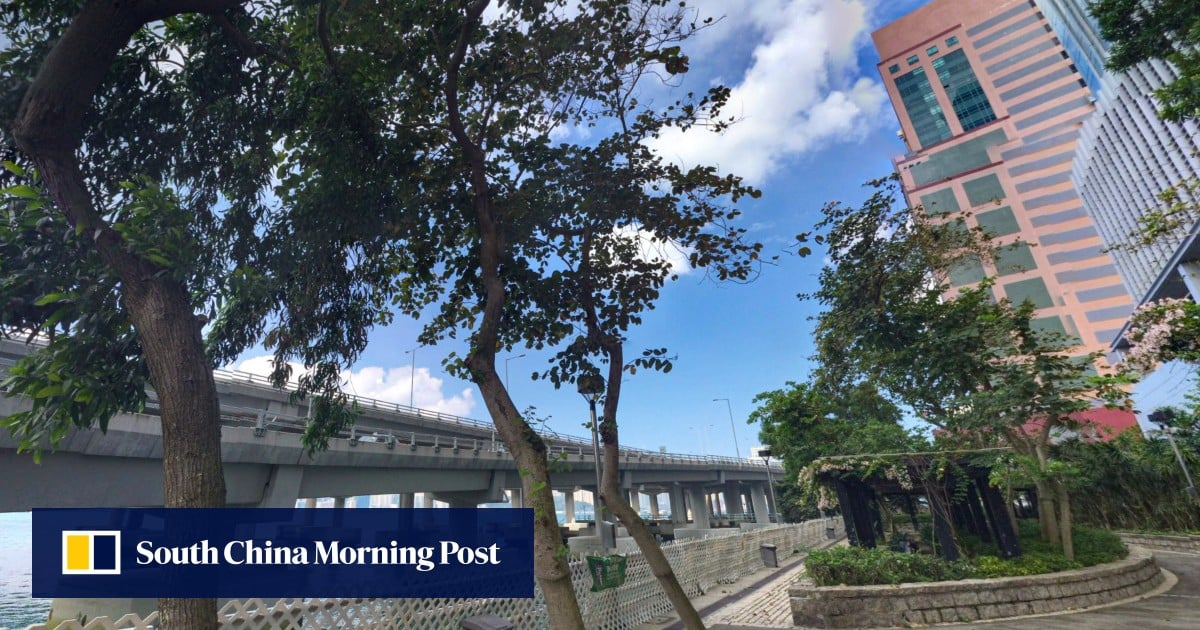 Baby found in Hong Kong waters confirmed dead, police launch probe