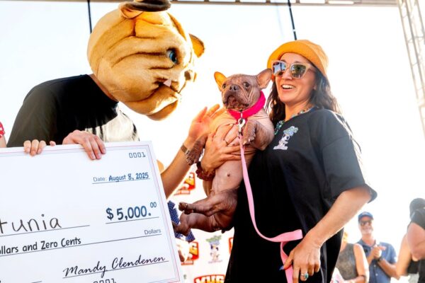 Petunia nabs the title in the "World's Ugliest Dog Contest." See photos of her fierce competitors