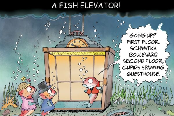 Wyatt's World - Yukon News