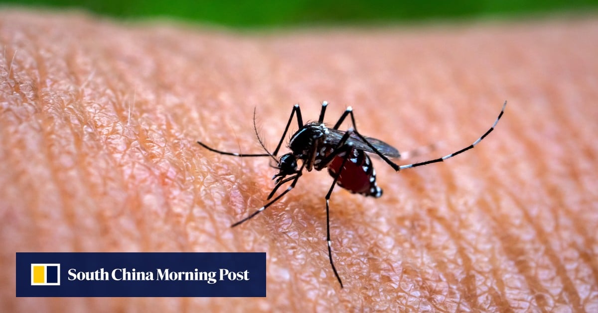 First chikungunya fever case in 6 years raises transmission risk in Hong Kong