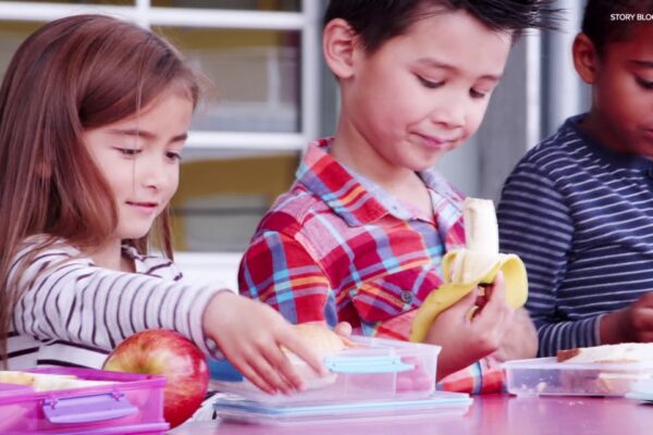 Boost kids' back-to-school performance with healthy meals | Healthwatch 16