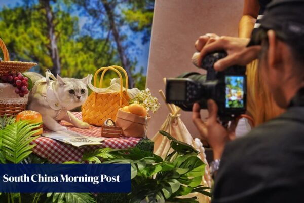 Purr-fect day for Hong Kong pet owners as cat expo opens