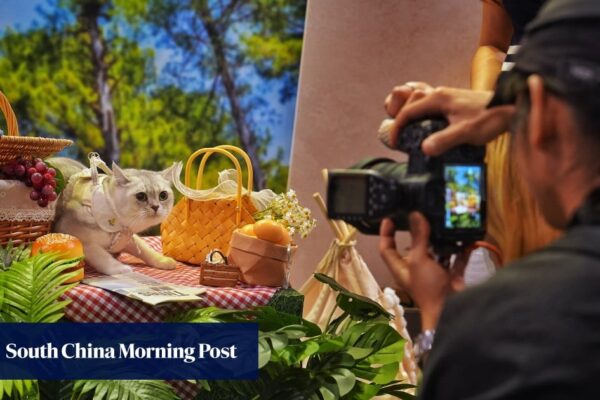 Purr-fect day for Hong Kong pet owners as cat expo opens