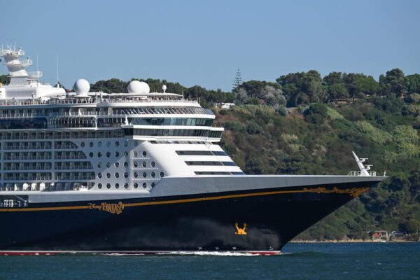 Cruise line stocks are on the rebound this year. Here's why.