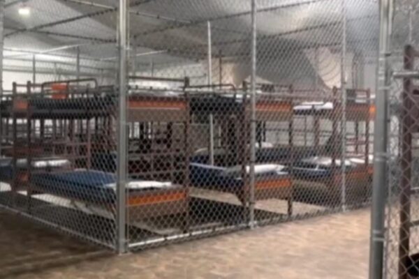 What detainees say about legal rights inside "Alligator Alcatraz"