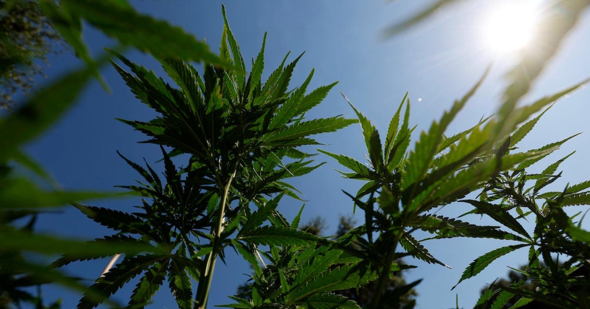 What would it take for the federal government to reclassify marijuana?