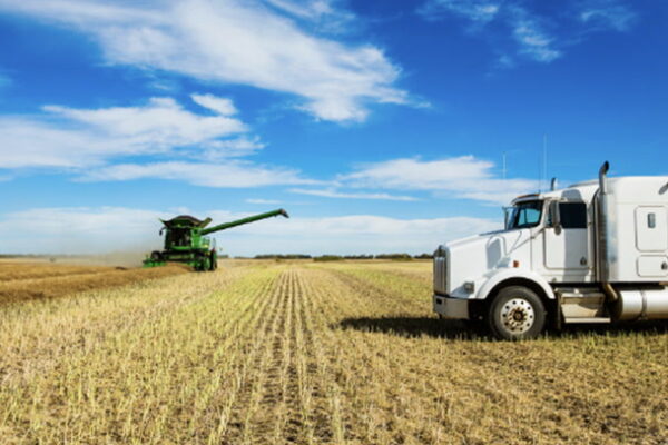 China implements trade war tariff of 75.8% on Canadian Canola Toronto Sun