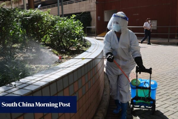 Hong Kong authorities will ‘act first’ to prevent chikungunya fever: minister