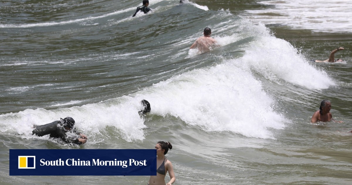 Hong Kong surfers urge government to lift beach ban for Olympics bid