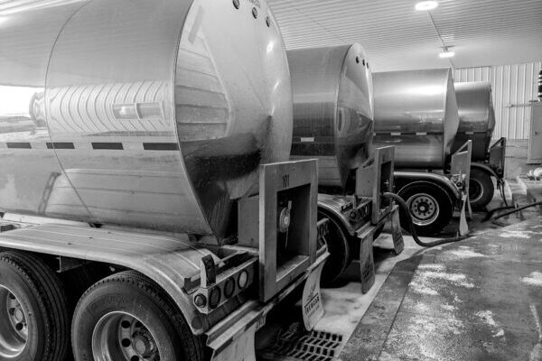 Tariff pause with China drives dairy exports