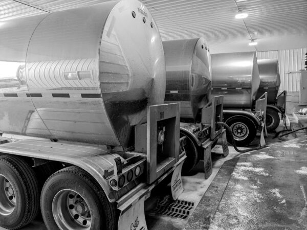 Tariff pause with China drives dairy exports