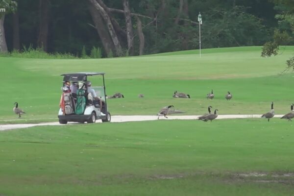 Celebrities join Sumter charity golf event supporting fathers and veterans