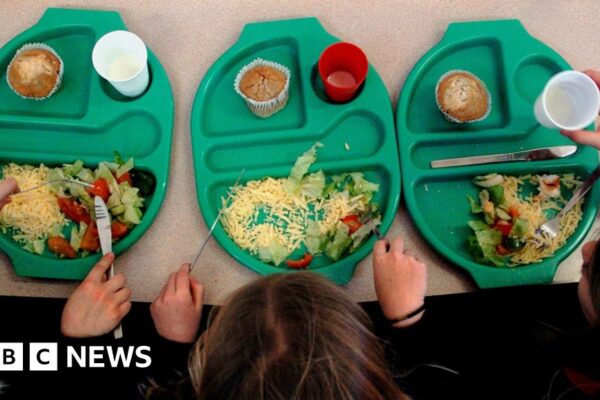 Processed foods in Isle of Man primary school meals cut by 50%