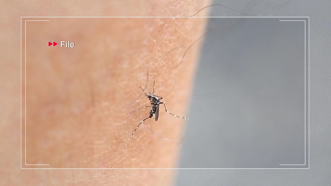 無綫新聞 TVB News