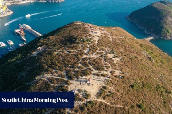 3 Hong Kong hikers, including boy, rushed to hospital after bee attack