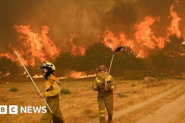 Wildfires rage in Spain and Portugal as heatwave continues