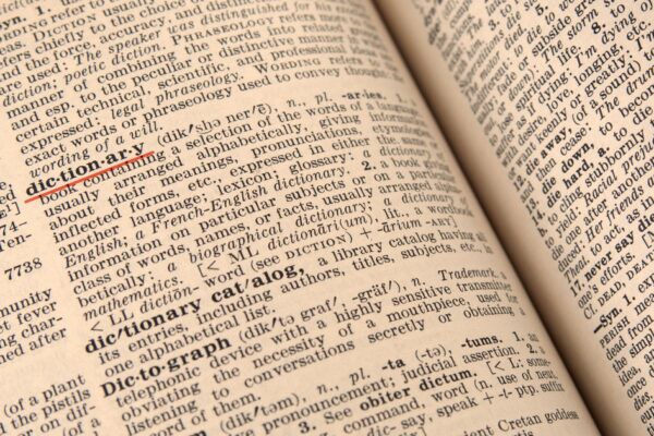 Cambridge Dictionary adds "skibidi," "delulu" and more words. Here's what they mean.