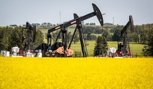 Federal ministers meet with canola lobby to discuss new tariffs from China