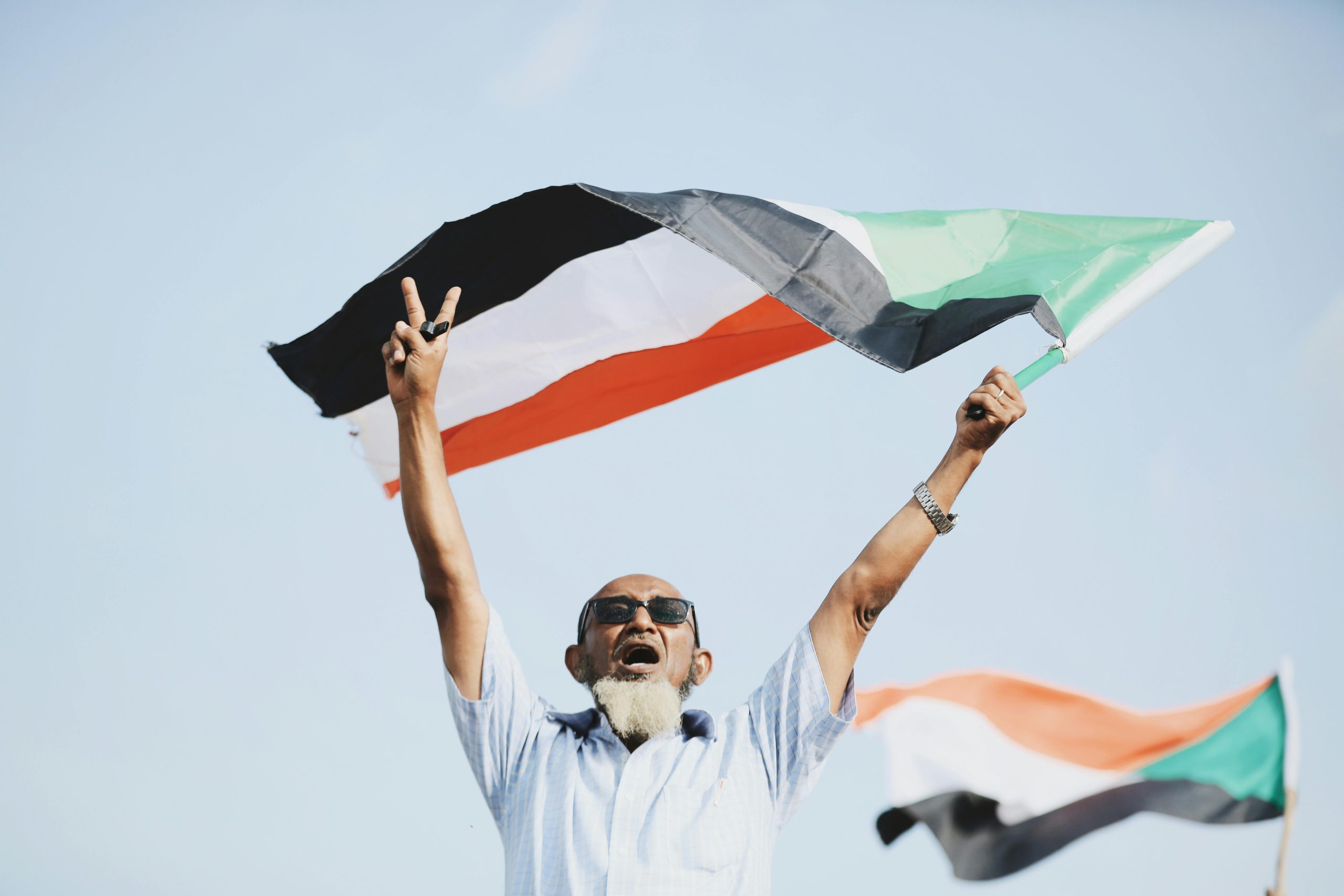 Sudan Is Experiencing The World’s Largest Humanitarian Crisis-Yet The International Community Is Silent – The Organization for World Peace