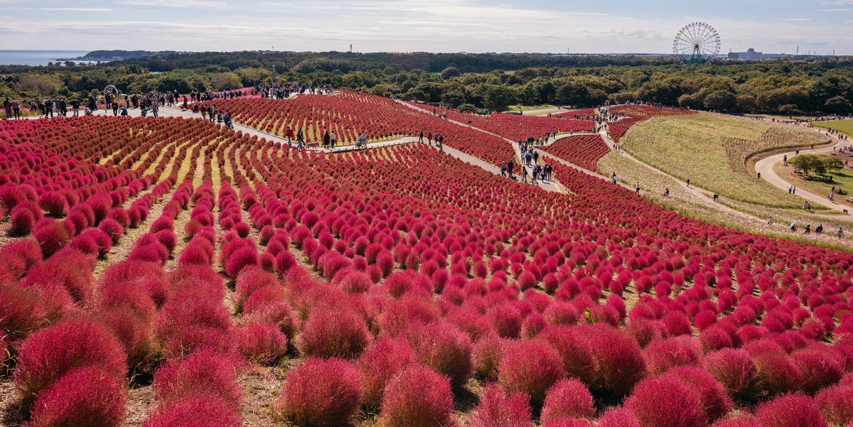 The 7 Best Red Landmarks to See Around the World