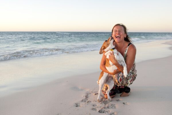 Top travel tips and advice for travelling with pets and taking dogs on holiday