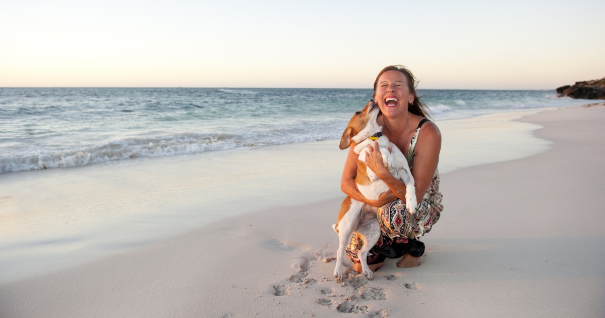 Top travel tips and advice for travelling with pets and taking dogs on holiday