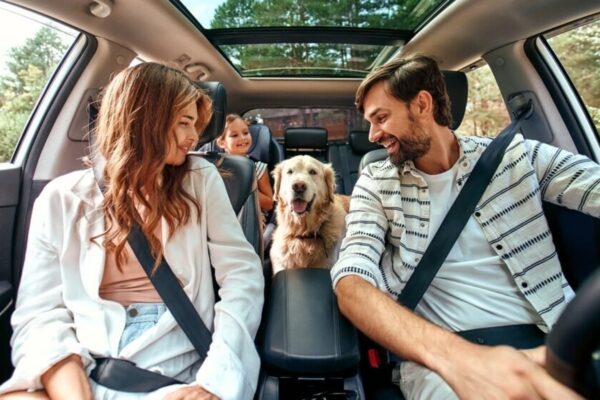 Travelling with your pets this monsoon? Vet shares essential checklist to keep them safe and comfortable on the trip Travelling with your pets this monsoon? Vet shares essential checklist to keep them safe and comfortable on the trip